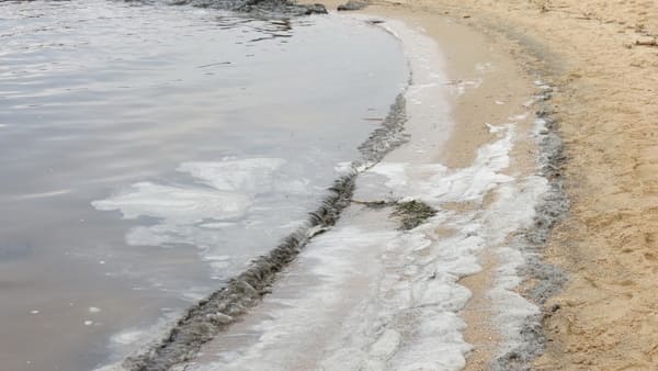 Пятна жира в водоеме